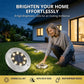 🔥 Offre Exceptionnelle -50% ✨ Lampe Solaire de Sol 8 LED — Acier Inoxydable & Allumage Automatique 🌞