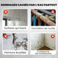 🎨 PROMO LIMITÉE 50% DE RÉDUCTION ! 🔧 Revêtement Polyuréthane Multifonction – Robuste, Polyvalent 🛡️