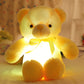 📢📢50% de réduction ! 🧸 Ours en peluche doux avec lumières LED colorées – Câlin lumineux pour enfants & décor apaisant ! ✨