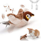 🔥Dernier jour 50% de réduction🐦Jouets à l'herbe à chat pour oiseaux à ailes battantes