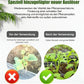 🌿🌱Achetez 3 pour 5 (8 bouteilles)🌼 Boostez Vos Plantes Et Vos Économies
