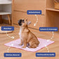 🐾 PROMO LIMITÉE 50% DE RÉDUCTION ! ❄️ Tapis Rafraîchissant pour Animaux – Gel Non Toxique, Fraîcheur Durable, Lavable 🏠