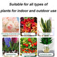 🌿🌱Achetez 3 pour 5 (8 bouteilles)🌼 Boostez Vos Plantes Et Vos Économies
