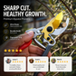🌿 PROMO LIMITÉE -50% ✂️ Sécateur Jardin SK5 — Tranchant Net, Prise Antidérapante