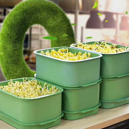 🌱 PROMO LIMITÉE 50% DE RÉDUCTION ! 💥 Caisse Germination Empilable – Mult couche, Anti-Moisissure, Sans Sol ✨
