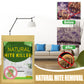 🌿 Soldes 2026 — Plus de 34 700 vendus!💚 Sachet anti‑acariens 100 % naturel – Sûr 🛏️
