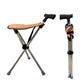 🔥Canne 2 en 1 avec chaise pliante