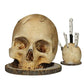 🎉 Soldes 2026 — Plus de 22 000 vendus ! 💀 Porte-couteau Gothique en Forme de Crâne – Décor de Cuisine Unique 🖤