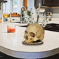 🎉 Soldes 2026 — Plus de 22 000 vendus ! 💀 Porte-couteau Gothique en Forme de Crâne – Décor de Cuisine Unique 🖤