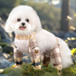 Pantalon de Protection Intégrale 4 Pattes pour Chien – Imperméable, Anti-Boue & Respirant