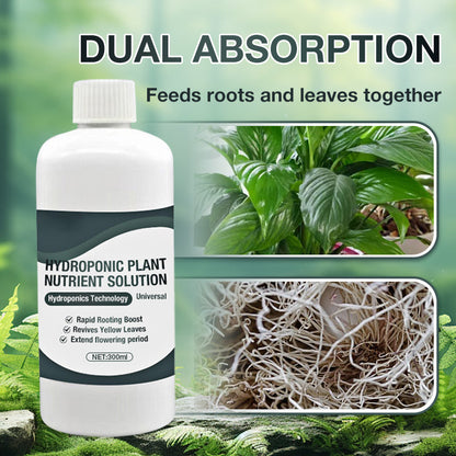 🔥 51% DE RÉDUCTION ! ✨ Solution Nutritive 12-en-1 pour Plantes Hydroponiques - Absorption Racinaire et Foliaire pour une Croissance Rapide et Sain 🌱💧