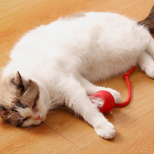 🐾 PROMO LIMITÉE 50% DE RÉDUCTION ! 💥 Boule Roulante Automatique Intelligente – Évitement Obstacles, Recharge Rapide, Silencieuse ✨