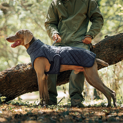 🐾 Black Friday : 50 % de réduction ! Manteau réfléchissant d’hiver pour chiens 2025 – Doublure épaisse, col montant & sécurité nocturne 🌈🧥