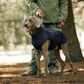 🐾 Black Friday : 50 % de réduction ! Manteau réfléchissant d’hiver pour chiens 2025 – Doublure épaisse, col montant & sécurité nocturne 🌈🧥