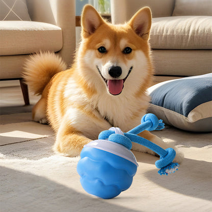 🐾 Black Friday 50% de réduction ! Balle Interactive Électronique Apaisante pour Animaux de Compagnie – Trois Modes, Évitement des Obstacles & Plus! 🐶💡
