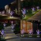 🦋 50% de réduction ! Lumières Solaires Papillons – Double Mode, IP65 & Design Réaliste pour Jardin, Terrasse, Allées 💐✨