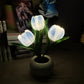 📢📢50 % de réduction !! ⏰ Lampe de Table LED Tulipe – Fleur Artificielle Réaliste + Veilleuse Chaleureuse, Décoration Romantique pour Chambre, Mariage & Cadeau 💐✨