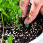 🌱 1 ACHETÉ = 1 OFFERT ! 🌱 Bâtonnets d'Engrais à Libération Lente – Nutrition Prolongée, Racines Fortes & Feuillage Éclatan