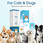 🐾 PROMO LIMITÉE 50% DE RÉDUCTION ! ⚡ Nettoyant Auriculaire pour Chiens et Chats – Doux, Apaisant, À Base de Plantes 🌿