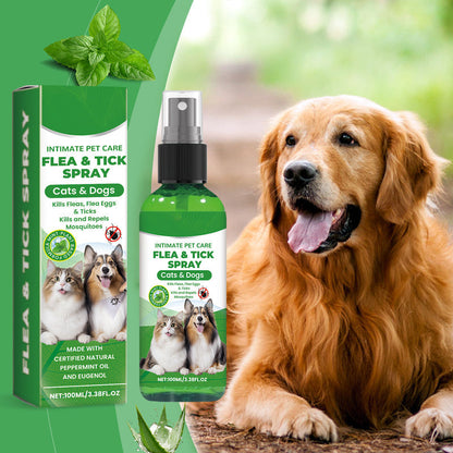 🐾 1 ACHETÉ, 1 OFFERT ! 🍃 Spray Naturel Anti-Puces & Anti-Tiques pour Animaux – Huile de Menthe Poivrée, Aloe Vera ✨