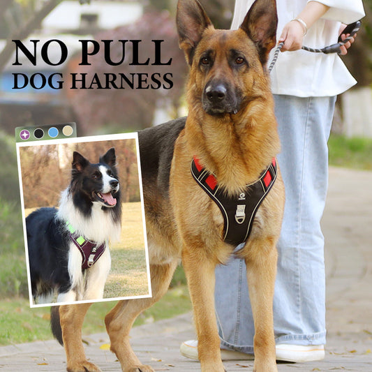 🐕 50% DE RÉDUCTION! 🦺 Harnais anti-traction – Collier LED & rembourrage épais ✨