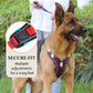 📢📢40 % DE RÉDUCTION !! ⏰Harnais anti-traction pour chien avec laisse et collier à LED