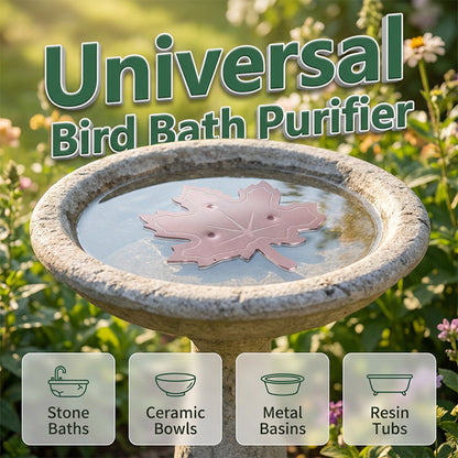 🍁 PROMO LIMITÉE 50% DE RÉDUCTION ! ✨ Purificateur Bain d'Oiseaux – Forme Feuille, Cuivre Pur, Naturel, Facile 🐦