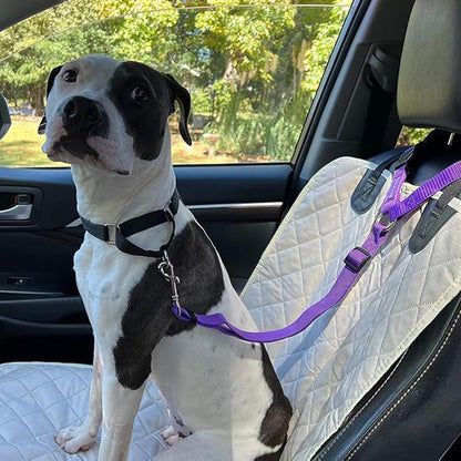 🔥 ACHETEZ 1, OBTENEZ 1 GRATUIT ! ✨ Ceinture Sécurité 2 en 1 Chien – Auto & Promenade ✨