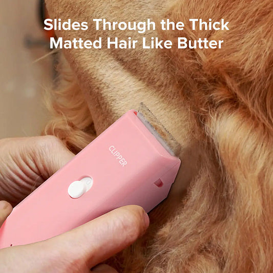 🐾 PROMO LIMITÉE 50% DE RÉDUCTION ! ✨ Tondeuse Sans Fil Silencieuse – Pour Chien/Chat, IPX7, USB 🐶
