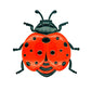 🦋 PROMO LIMITÉE 50% DE RÉDUCTION ! 💥 Décorations Murales 3D Insectes – Abeille, Papillon, Coccinelle – Lot de 3 ✨ 标题翻译（中文）：