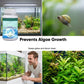 🐠 PROMO LIMITÉE 50% DE RÉDUCTION ! 💥 Comprimés Purifiants Aquarium – Eau Cristalline, Anti-Algues, Neutralise Odeurs ✨