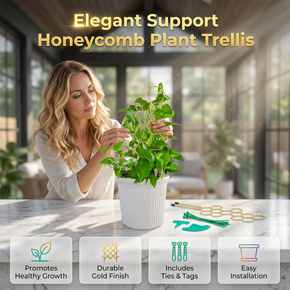 🌿 PROMO LIMITÉE 50% DE RÉDUCTION ! 💥 Tuteurs Métal Nid d'Abeille – Design Créatif, Anti-Rouille, Croissance Verticale ✨