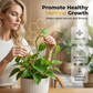 🌿 PROMO LIMITÉE 50% DE RÉDUCTION ! 💥 Tuteurs Métal Nid d'Abeille – Design Créatif, Anti-Rouille, Croissance Verticale ✨