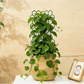 🌿 PROMO LIMITÉE 50% DE RÉDUCTION ! 💥 Tuteurs Métal Nid d'Abeille – Design Créatif, Anti-Rouille, Croissance Verticale ✨
