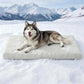 🐾 PROMO LIMITÉE 50% DE RÉDUCTION ! ❄️ Tapis Rafraîchissant Instantané pour Animaux – Anti-Rayures, Non Toxique, Facile à Nettoyer 🐶