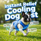 🐶 PROMO LIMITÉE 50% DE RÉDUCTION ! ✨ Gilet Rafraîchissant pour Chien – Maille Respirante, Soulagement Immédiat de la Chaleur 🌊
