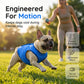 🐶 PROMO LIMITÉE 50% DE RÉDUCTION ! ✨ Gilet Rafraîchissant pour Chien – Maille Respirante, Soulagement Immédiat de la Chaleur 🌊