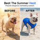 🐶 PROMO LIMITÉE 50% DE RÉDUCTION ! ✨ Gilet Rafraîchissant pour Chien – Maille Respirante, Soulagement Immédiat de la Chaleur 🌊