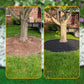 ⏰ PROMO 53% DE RÉDUCTION ! Bordure de Jardin 10m avec 30 Piquets pour pelouses et massifs
