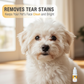 🐱 Soldes 2026 — Plus de 36 000 vendus ! 👁️ Gouttes Ophtalmiques Douces pour Chiens et Chats