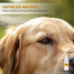 🐱 Soldes 2026 — Plus de 36 000 vendus ! 👁️ Gouttes Ophtalmiques Douces pour Chiens et Chats