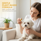 🐱 Soldes 2026 — Plus de 36 000 vendus ! 👁️ Gouttes Ophtalmiques Douces pour Chiens et Chats