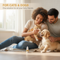 🐱 Soldes 2026 — Plus de 36 000 vendus ! 👁️ Gouttes Ophtalmiques Douces pour Chiens et Chats