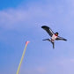 🪁 Soldes 2026 — Plus de 44 600 vendus!🎏 Jouet Cerf‑Volant Canne à Pêche Créatif pour Enfants 🌤️