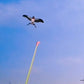 🪁 Soldes 2026 — Plus de 44 600 vendus!🎏 Jouet Cerf‑Volant Canne à Pêche Créatif pour Enfants 🌤️