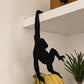 🎉 2026 Soldes — Plus de 23 100 Vendu!🐒 Crochet Banane en Forme de Singe
