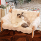 📢📢50% DE RÉDUCTION !! ⏰Lit surélevé en bois pour animaux
