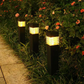 🌿 PROMO LIMITÉE -50% 💡 Lampes Solaires Jardin — Étancjes, à Enfoncer dans le Sol