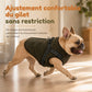 🐶 50 % DE RÉDUCTION ! 🧥 Manteau d'hiver pour chiens – Harnais intégré et bandes réfléchissantes ✨