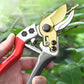 🌿 PROMO LIMITÉE -50% ✂️ Sécateur Jardin SK5 — Tranchant Net, Prise Antidérapante